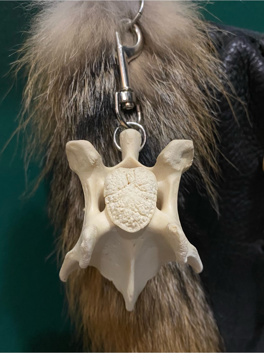Deer Vertebrae Bone Keychain
